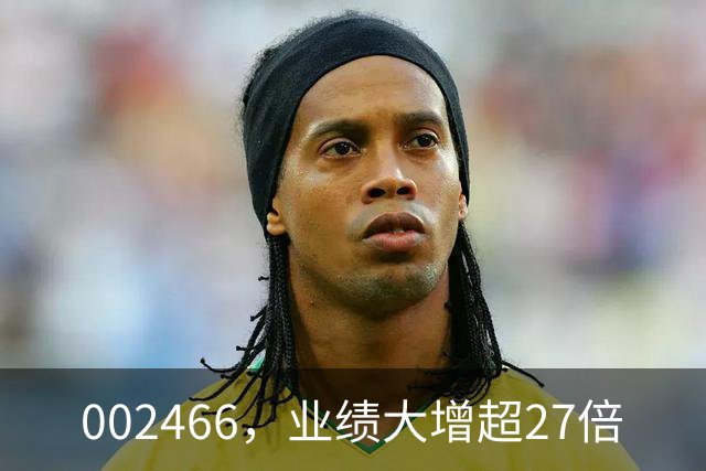 002466，业绩大增超27倍